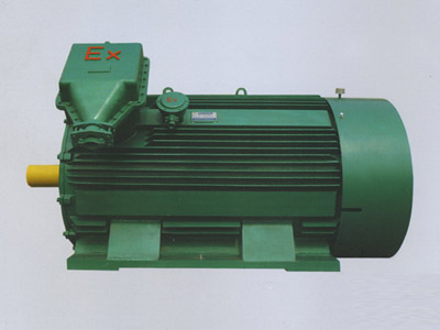 YB2系列高壓隔爆型三相異步電動機(jī)10KV