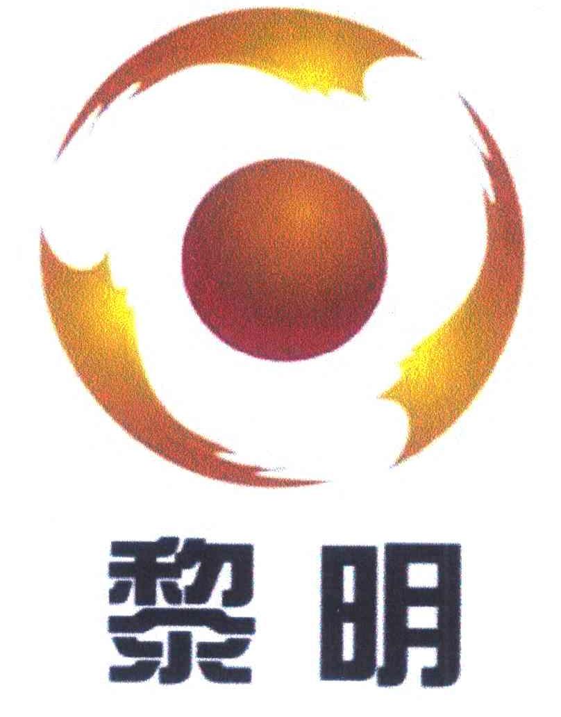 沈陽黎明電機(jī)制造有限公司